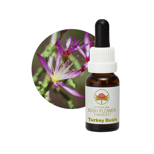 Turkey Bush 30ml image 0