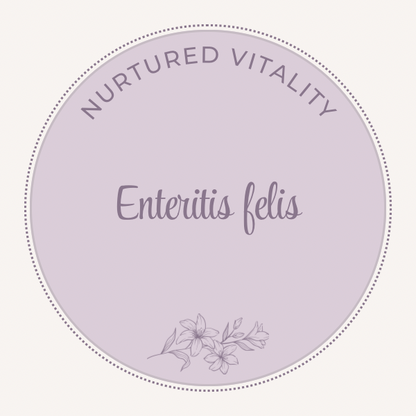 Enteritis felis Nosode