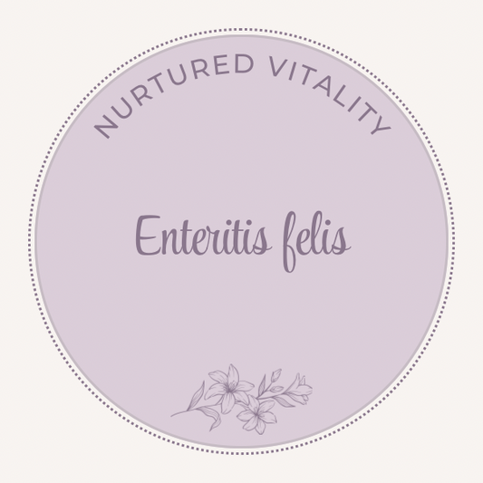 Enteritis felis Nosode