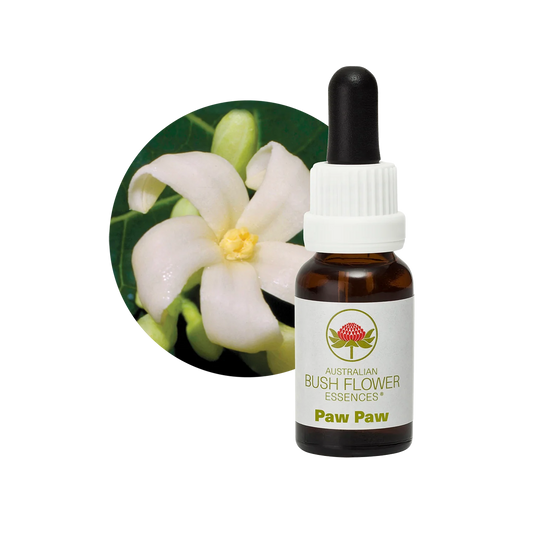 Paw Paw 30ml image 0
