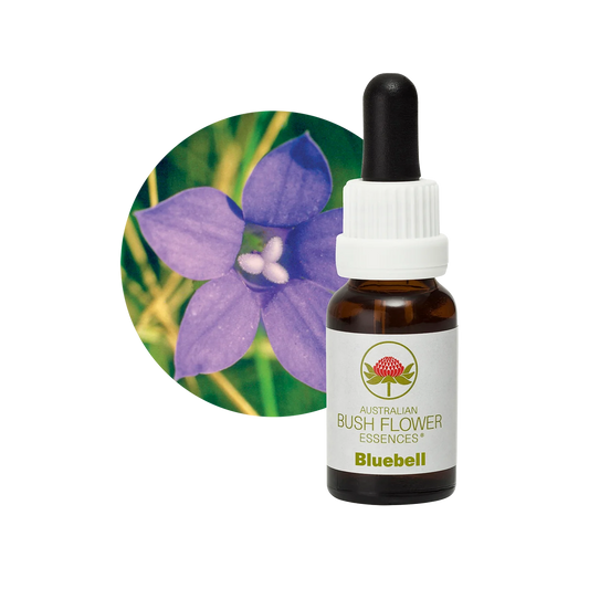 Bluebell 30ml image 0
