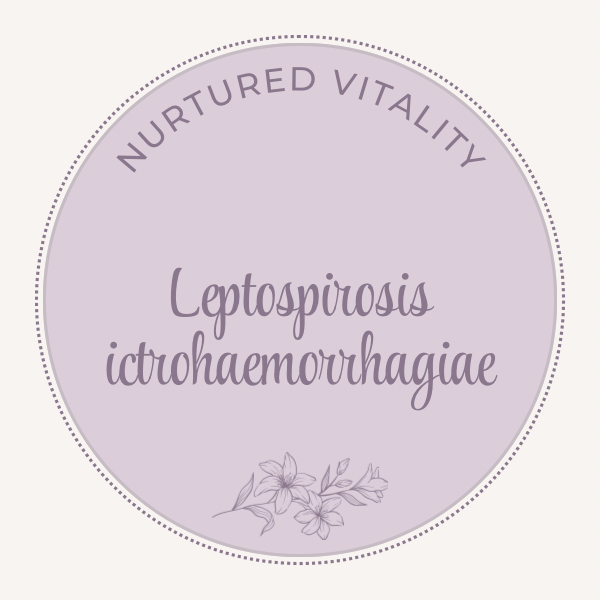 Leptospirosis ictrohaemorrhagiae Nosode