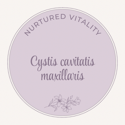 Cystis cavitatis maxillaris nosode