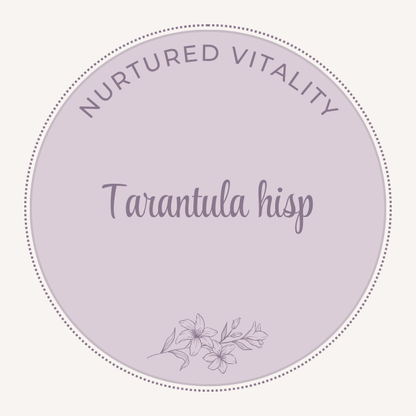Nurtured Vitality Tarantula hisp