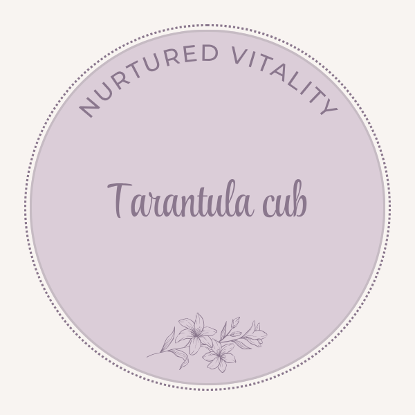 Nurtured Vitality Tarantula cub