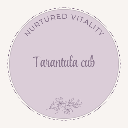 Nurtured Vitality Tarantula cub
