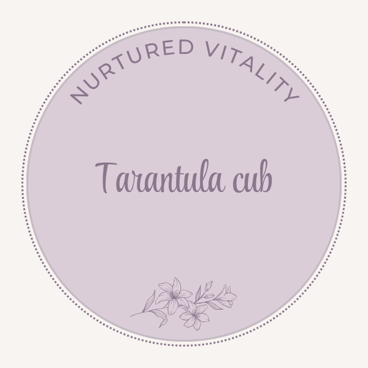 Nurtured Vitality Tarantula cub