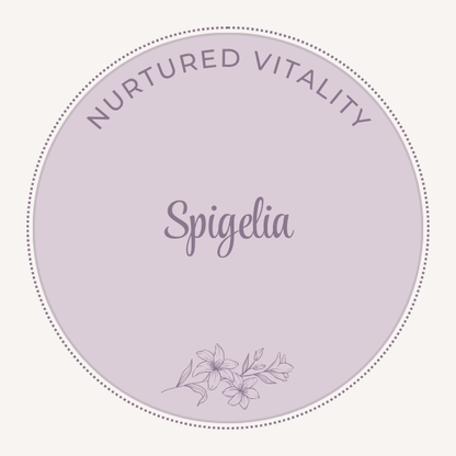 Nurtured Vitality Spigelia