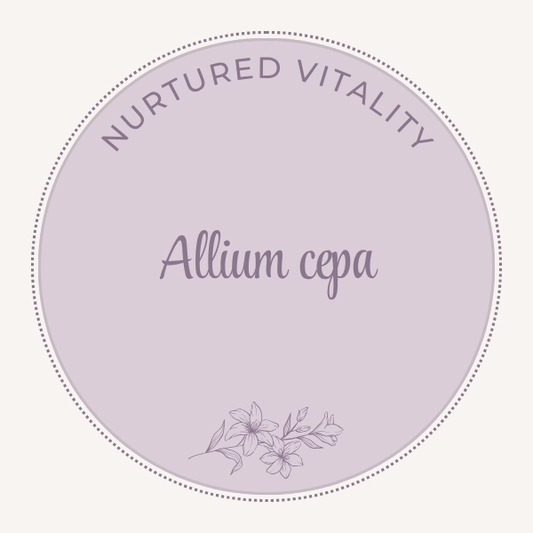 Allium cepa
