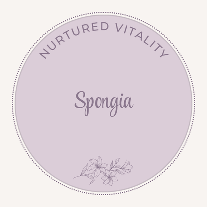 Nurtured Vitality Spongia
