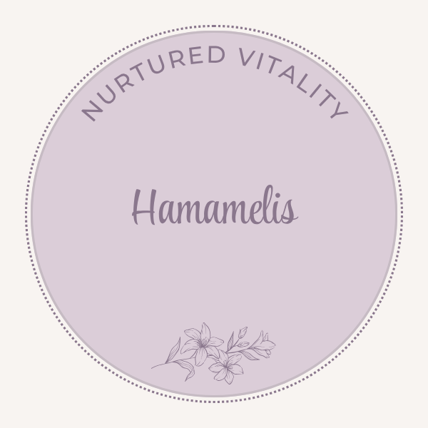 Hamamelis virginiana