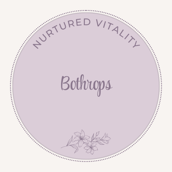 Bothrops lanceolatus