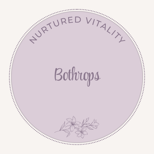 Bothrops lanceolatus