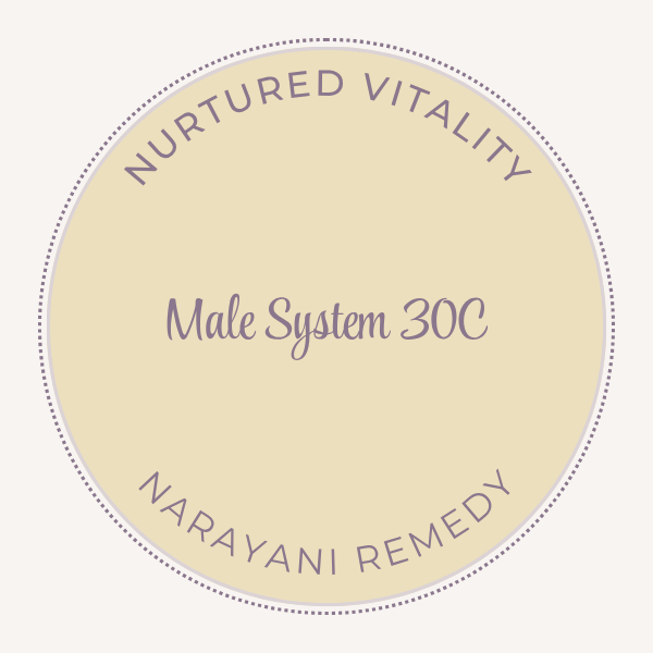 Narayani Male System (OM22) 30C