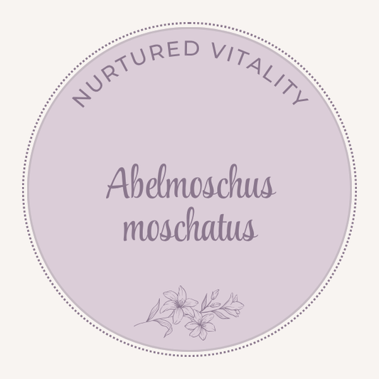 Abelmoschus moschatus