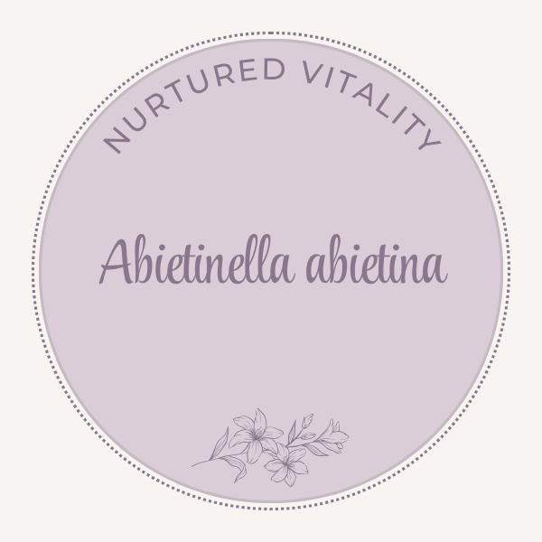 Abietinella abietina