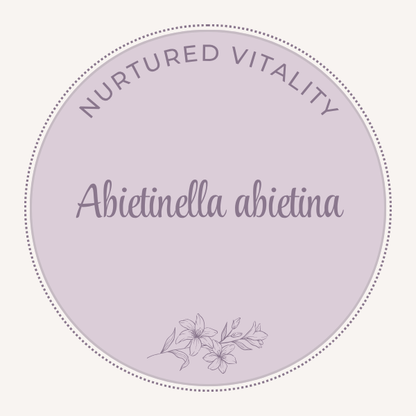 Abietinella abietina