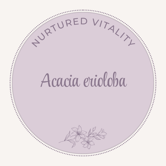 Acacia erioloba
