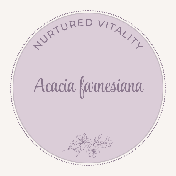 Acacia farnesiana