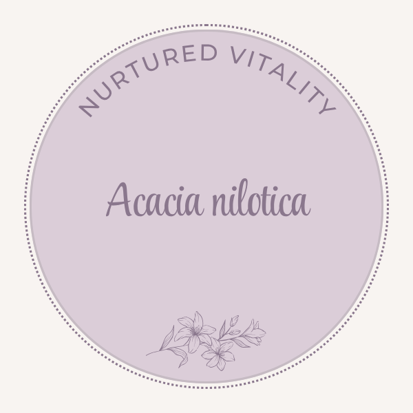 Acacia Nilotica