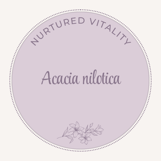Acacia Nilotica