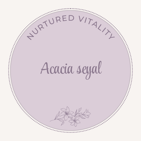 Acacia seyal