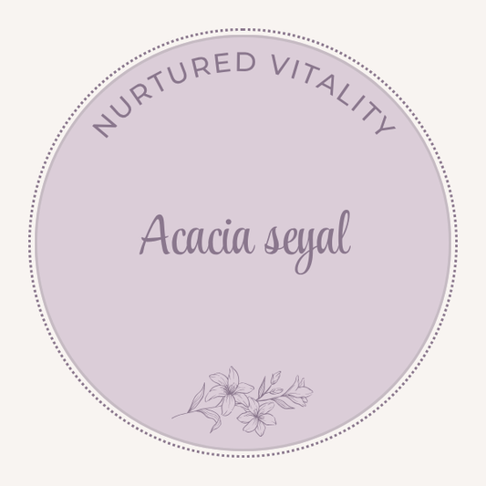 Acacia seyal