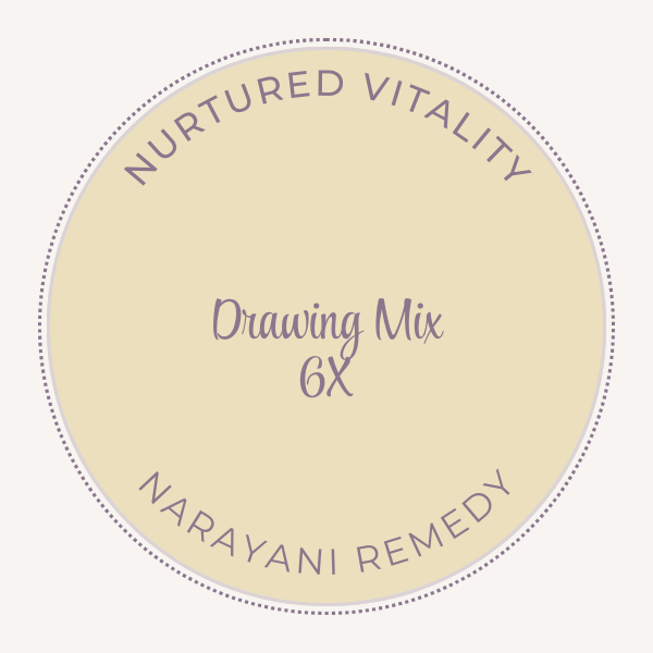 Narayani Drawing Mix 6X