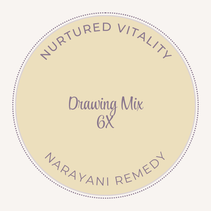 Narayani Drawing Mix 6X