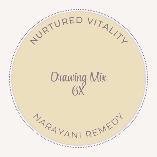 Narayani Drawing Mix 6X