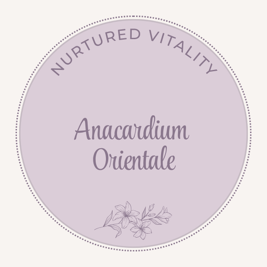 Anacardium Orientale / Semecarpus anacardium