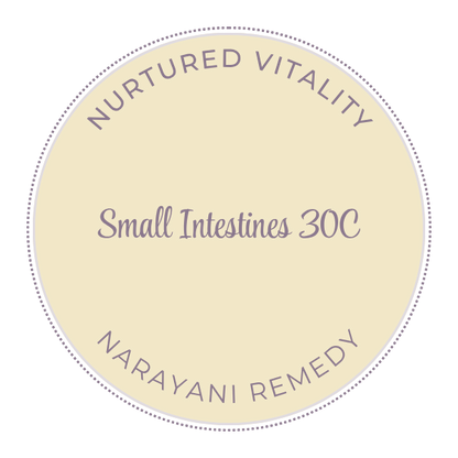 Narayani Small Intestines (OM 14) 30C