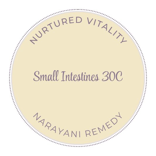 Narayani Small Intestines (OM 14) 30C