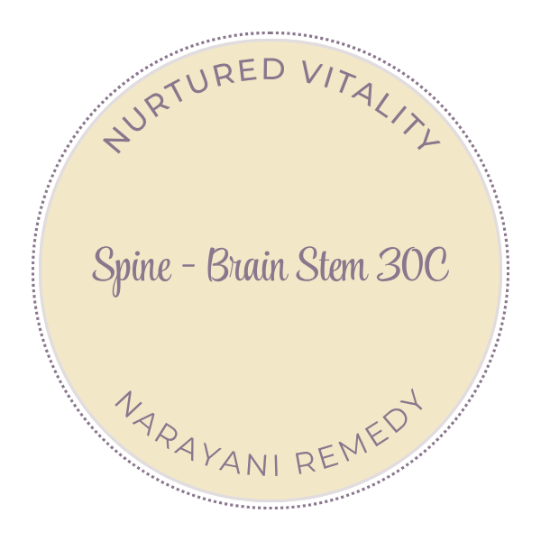 Narayani Spine - Brain Stem (OM 33) 30C