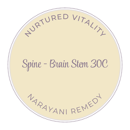 Narayani Spine - Brain Stem (OM 33) 30C
