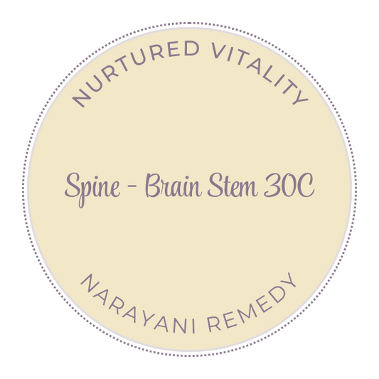 Narayani Spine - Brain Stem (OM 33) 30C