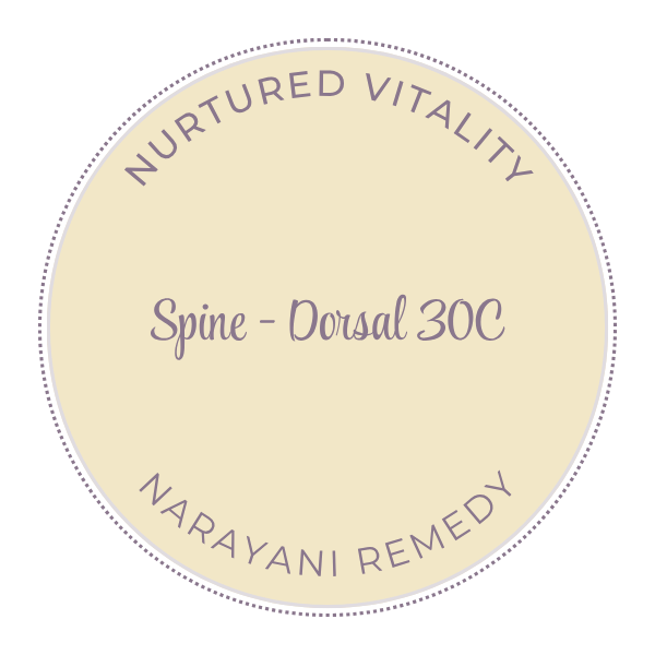 Narayani Spine - Dorsal (OM 32) 30C
