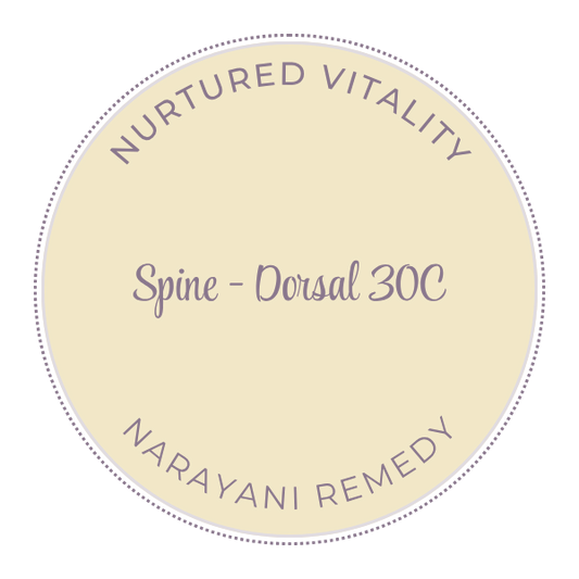 Narayani Spine - Dorsal (OM 32) 30C