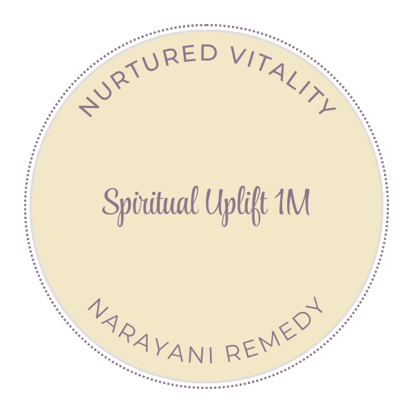 Narayani Spiritual Uplift (Soham / Spec 10) 1M