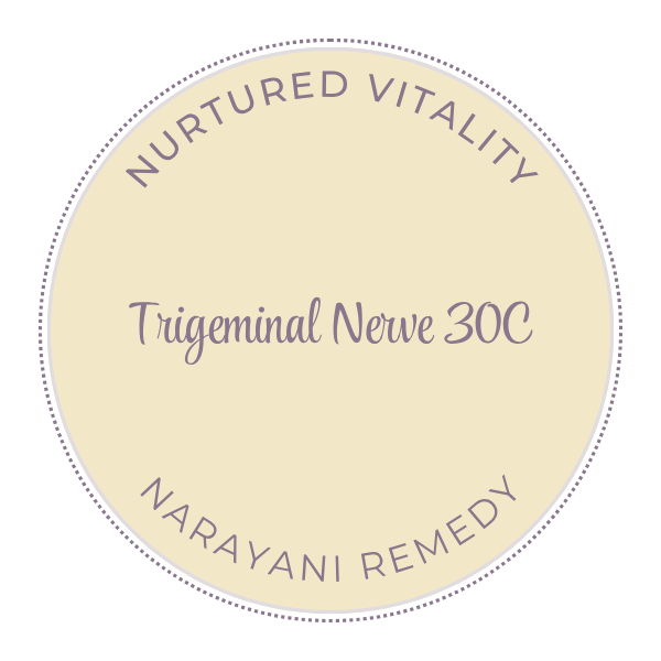 Narayani Trigeminal Nerve (OM 13) 30C
