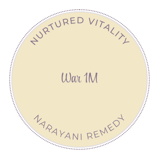 Narayani War (Mix 35) 1M