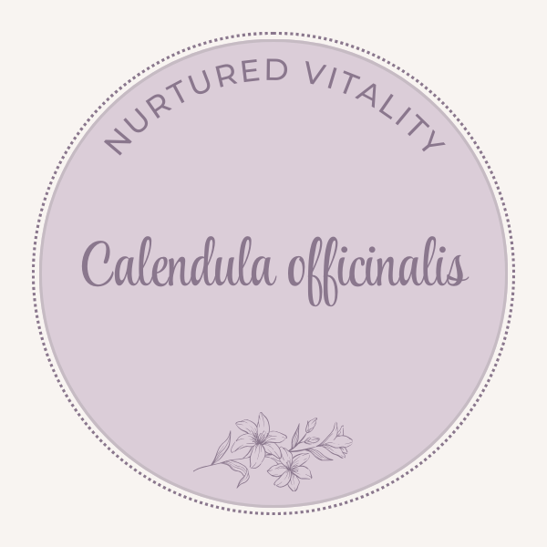 Calendula officinalis