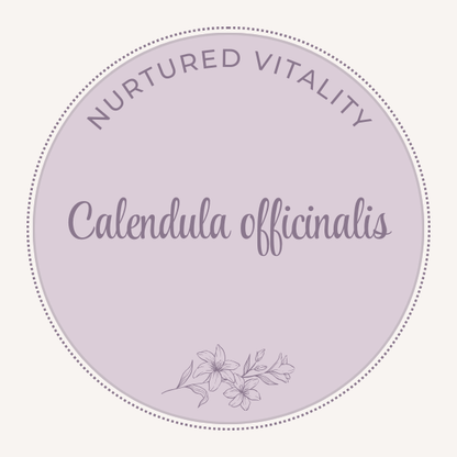 Calendula officinalis