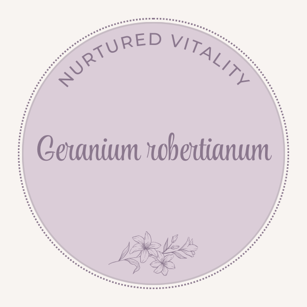 Geranium robertianum