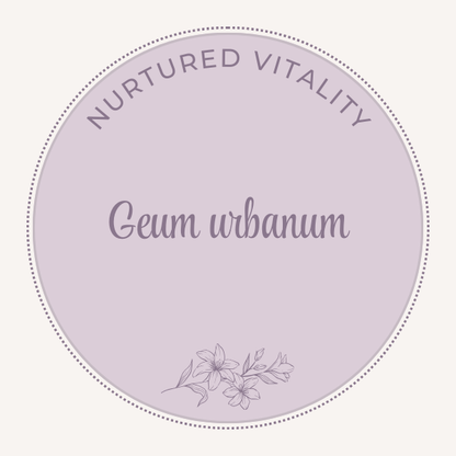 Geum urbanum