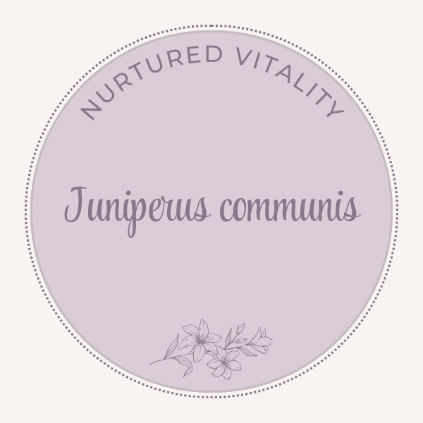 Juniperus communis