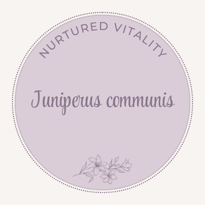 Juniperus communis