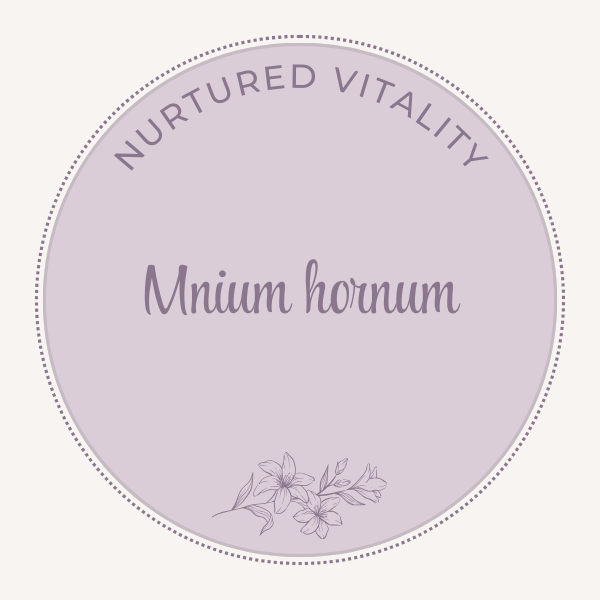 Mnium hornum