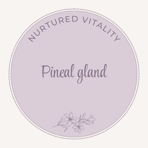 Pineal gland