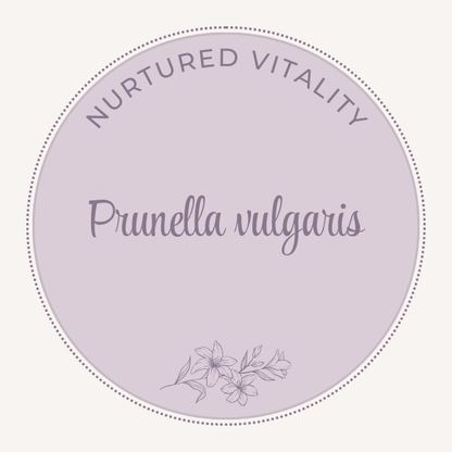 Prunella vulgaris